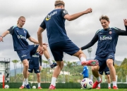 开云平台-奥地利队在对阵摩尔多瓦队中表现出色