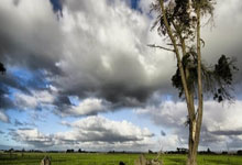 开云体育app-曼城力克罗马！本泽马高光瞬间点燃全场，足球盛宴再度上演