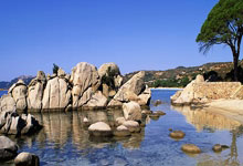 开云体育下载-拜仁逆转曼联，厄德高打破历史纪录——足球盛宴带来激情与震撼