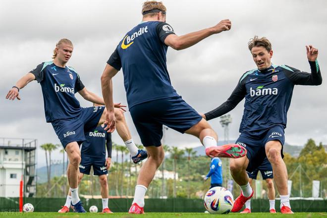 奥地利队在对阵摩尔多瓦队中表现出色 奥地利队在对阵摩尔多瓦队中表现出色