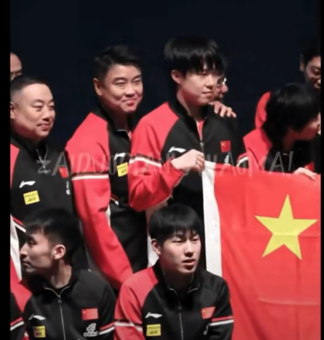 日本乒乓球队绝地反击瑞典乒乓球队，王皓制霸全场的简单介绍