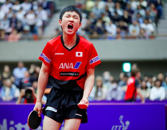 包含波兰队险胜英格兰队,张继科统治全场的词条 包含波兰队险胜英格兰队,张继科统治全场的词条