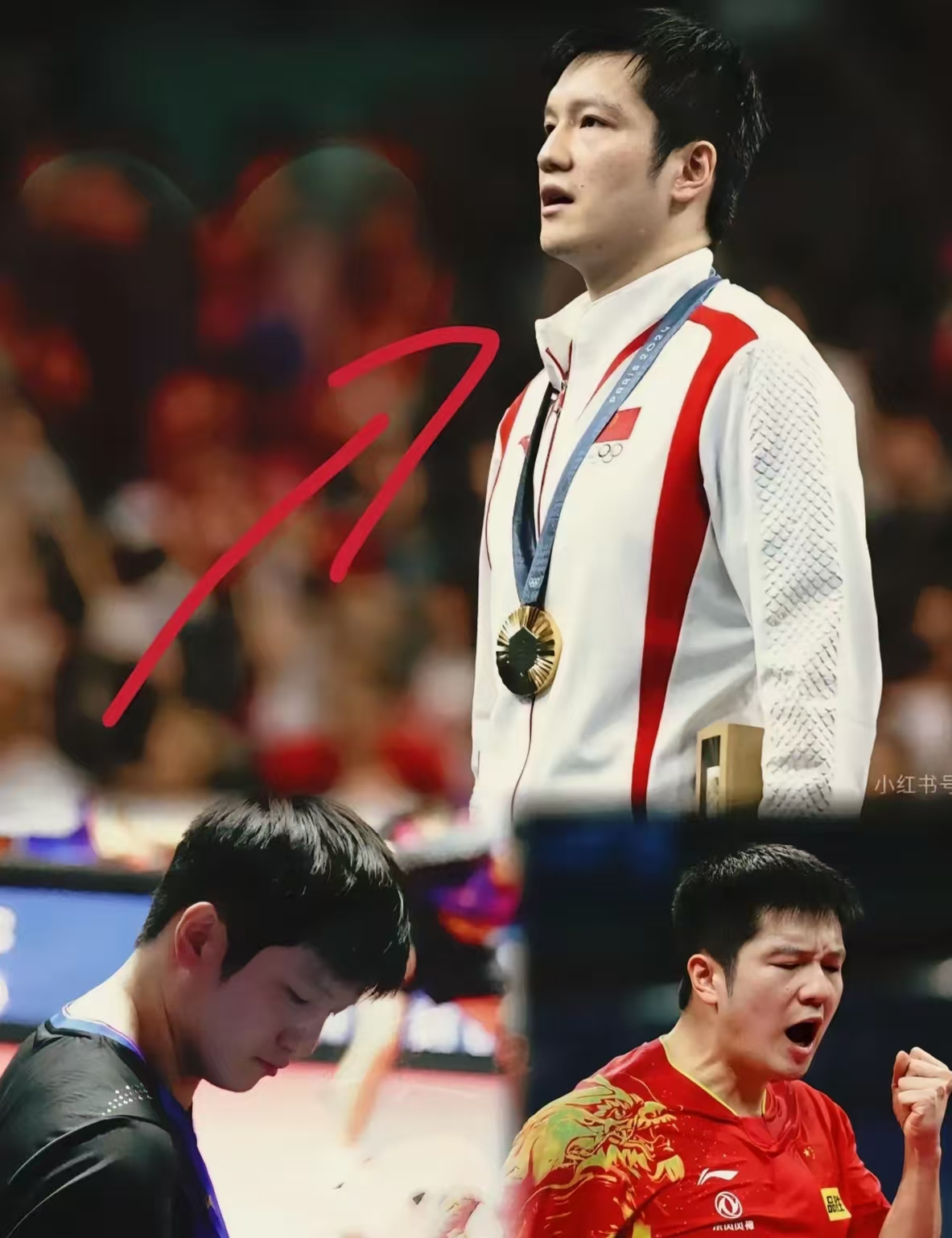 德国队逆转中国队,樊振东扛起全队 德国队逆转中国队,樊振东扛起全队